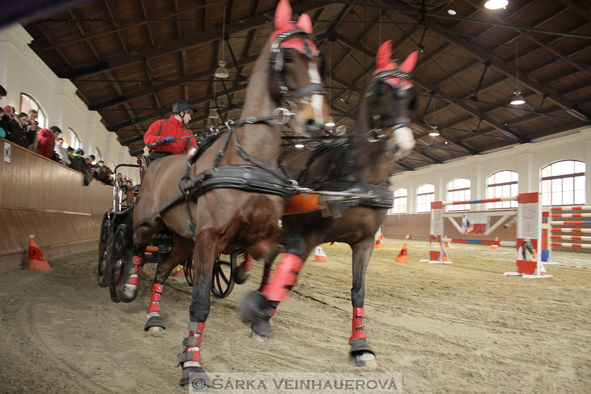 Zimní Jezdecký pohár spřežení 2016 - Brno