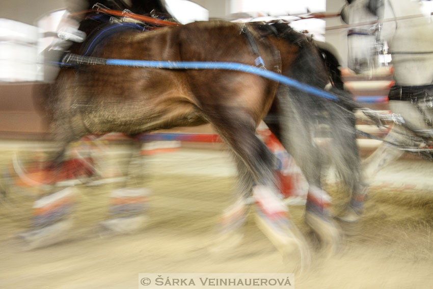 Zimní Jezdecký pohár spřežení 2016 - Brno