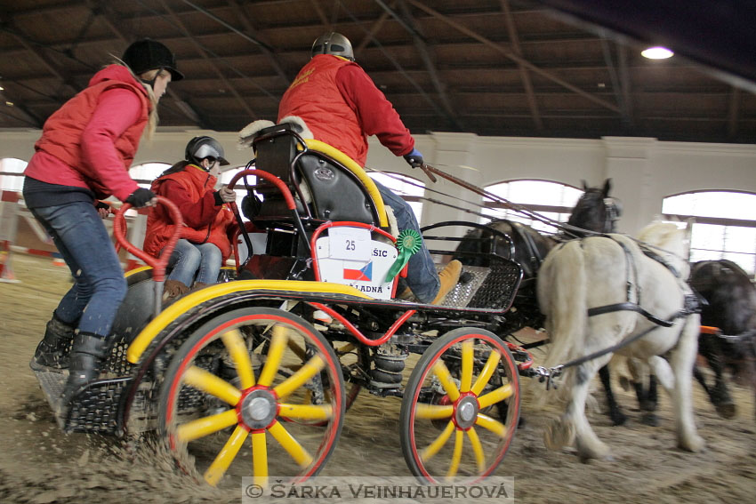 Zimní Jezdecký pohár spřežení 2016 - Brno