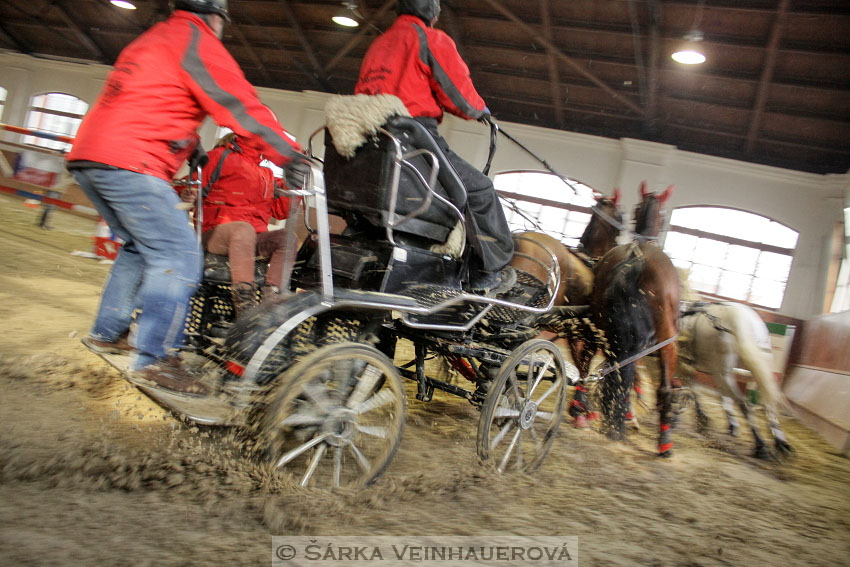 Zimní Jezdecký pohár spřežení 2016 - Brno