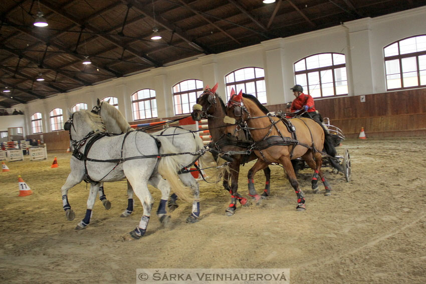 Zimní Jezdecký pohár spřežení 2016 - Brno