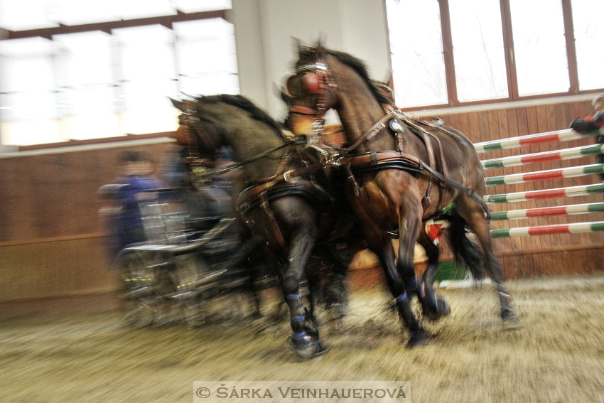 Zimní Jezdecký pohár spřežení 2016 - Brno