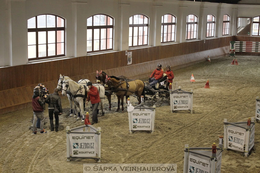 Zimní Jezdecký pohár spřežení 2016 - Brno