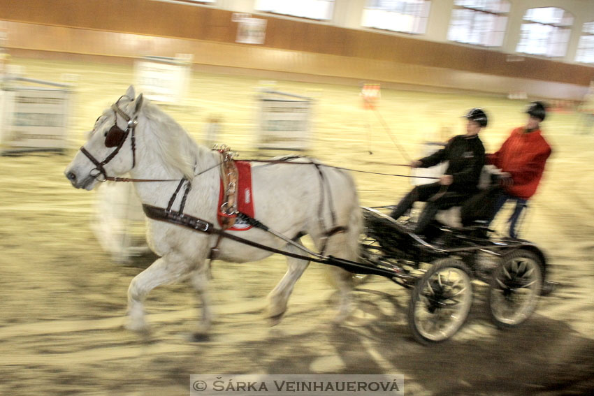 Zimní Jezdecký pohár spřežení 2016 - Brno