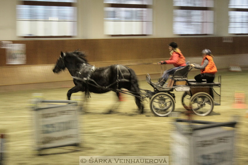 Zimní Jezdecký pohár spřežení 2016 - Brno