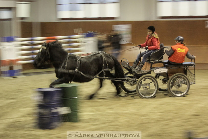 Zimní Jezdecký pohár spřežení 2016 - Brno