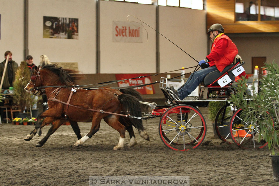 Zimní Jezdecký pohár spřežení 2016 - Hradištko