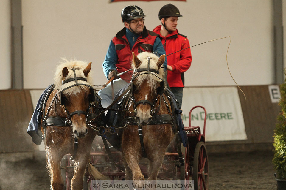 Zimní Jezdecký pohár spřežení 2016 - Hradištko