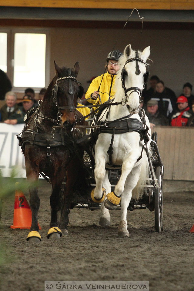 Zimní Jezdecký pohár spřežení 2016 - Hradištko