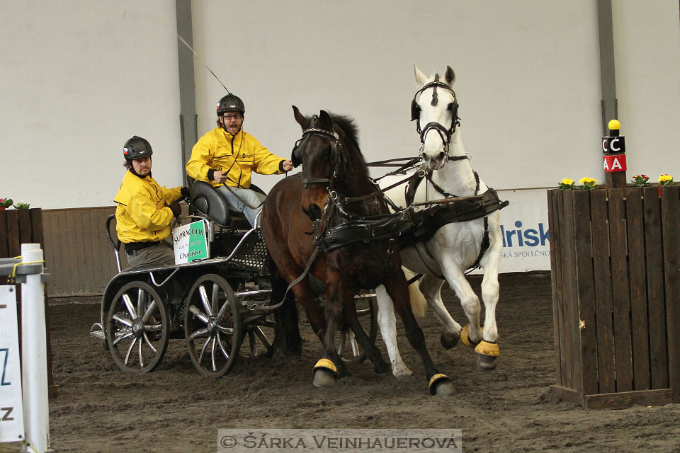 Zimní Jezdecký pohár spřežení 2016 - Hradištko