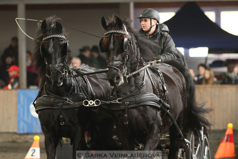 Zimní Jezdecký pohár spřežení 2016 - Hradištko