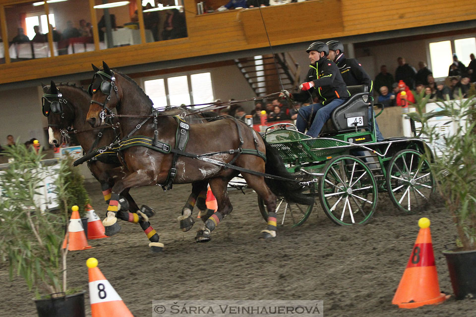 Zimní Jezdecký pohár spřežení 2016 - Hradištko