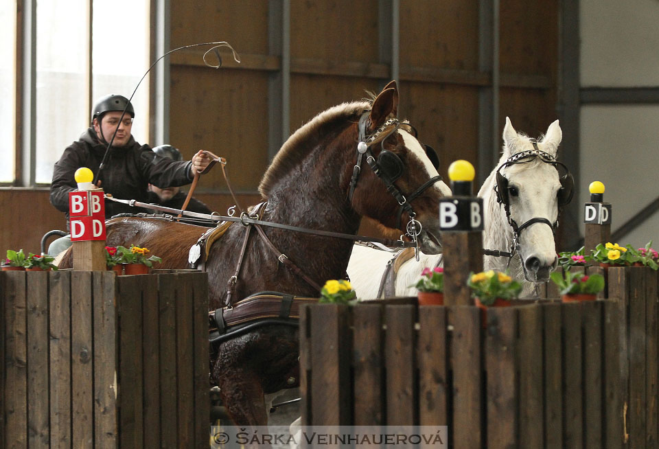 Zimní Jezdecký pohár spřežení 2016 - Hradištko