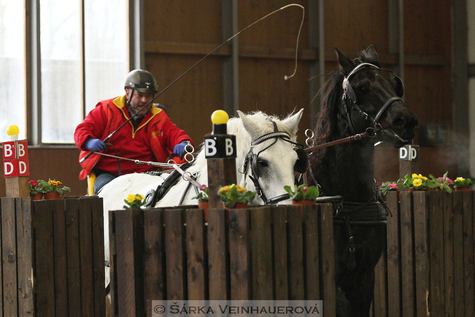 Zimní Jezdecký pohár spřežení 2016 - Hradištko