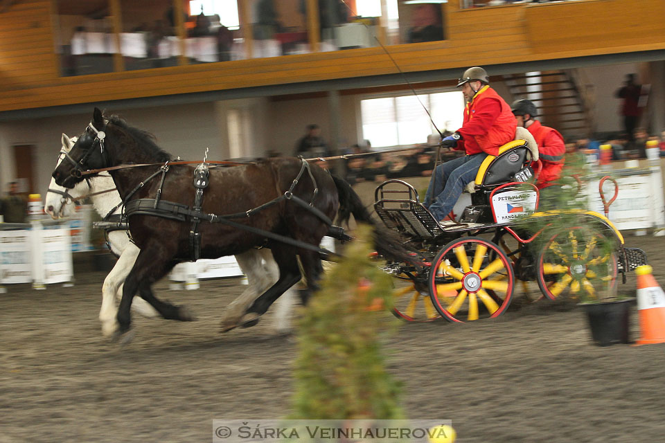 Zimní Jezdecký pohár spřežení 2016 - Hradištko