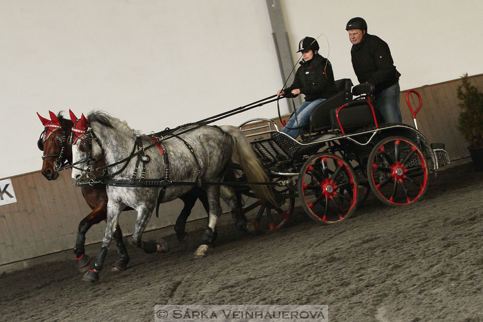 Zimní Jezdecký pohár spřežení 2016 - Hradištko