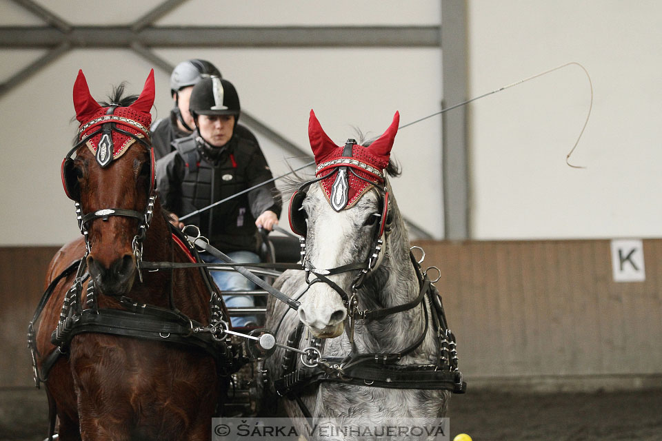 Zimní Jezdecký pohár spřežení 2016 - Hradištko