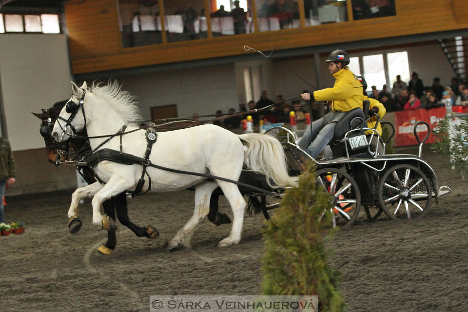 Zimní Jezdecký pohár spřežení 2016 - Hradištko