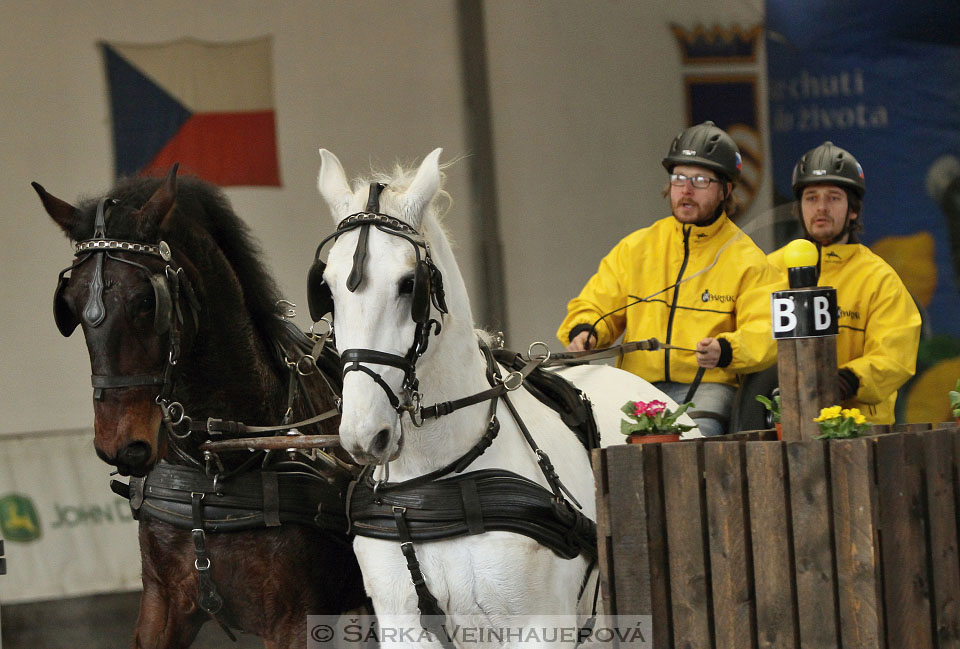 Zimní Jezdecký pohár spřežení 2016 - Hradištko