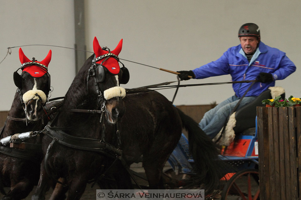 Zimní Jezdecký pohár spřežení 2016 - Hradištko