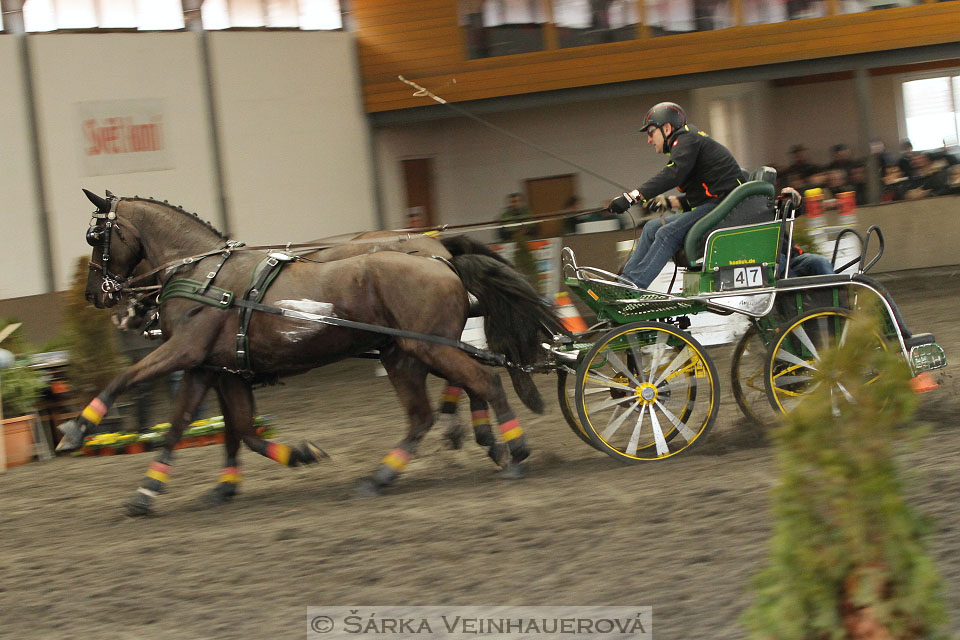 Zimní Jezdecký pohár spřežení 2016 - Hradištko