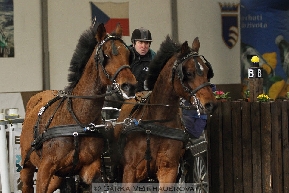 Zimní Jezdecký pohár spřežení 2016 - Hradištko