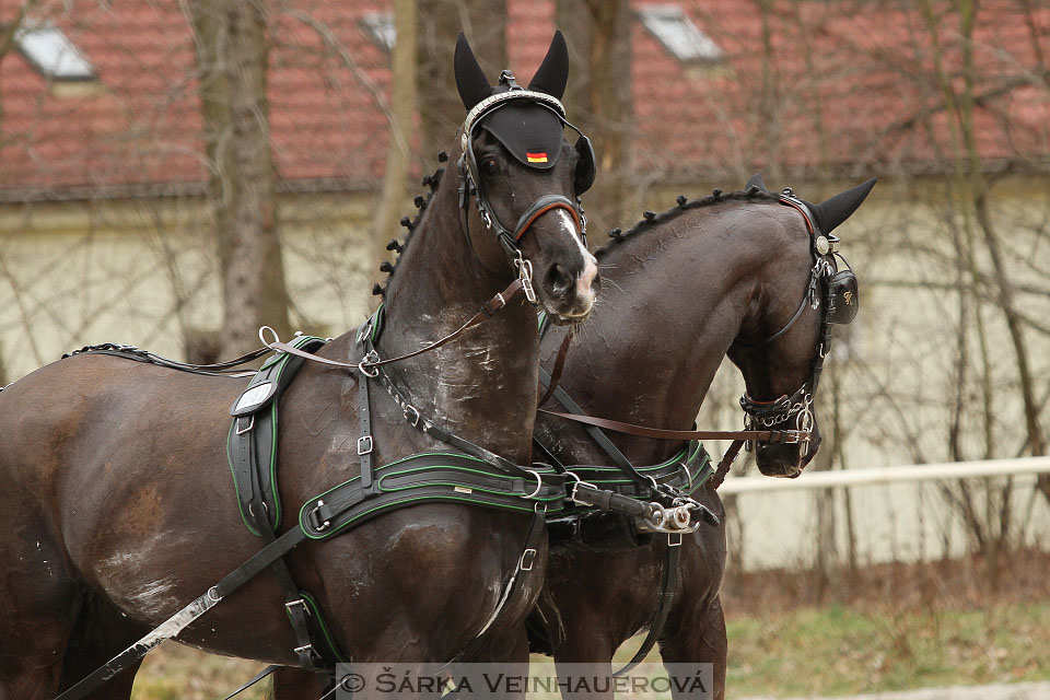 Zimní Jezdecký pohár spřežení 2016 - Hradištko