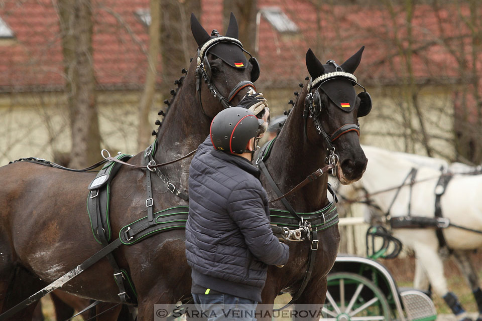 Zimní Jezdecký pohár spřežení 2016 - Hradištko