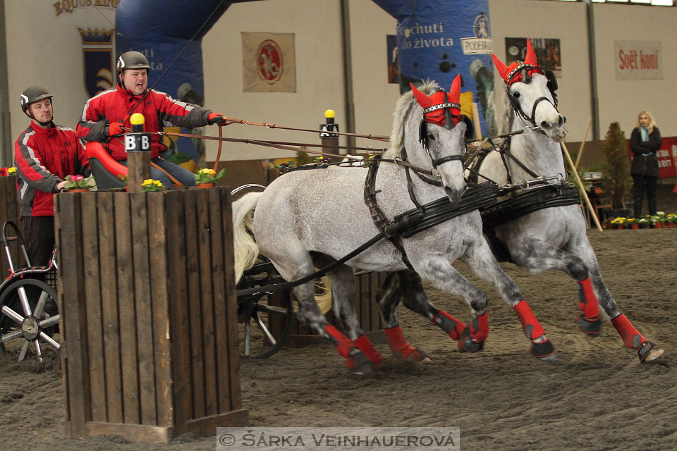 Zimní Jezdecký pohár spřežení 2016 - Hradištko