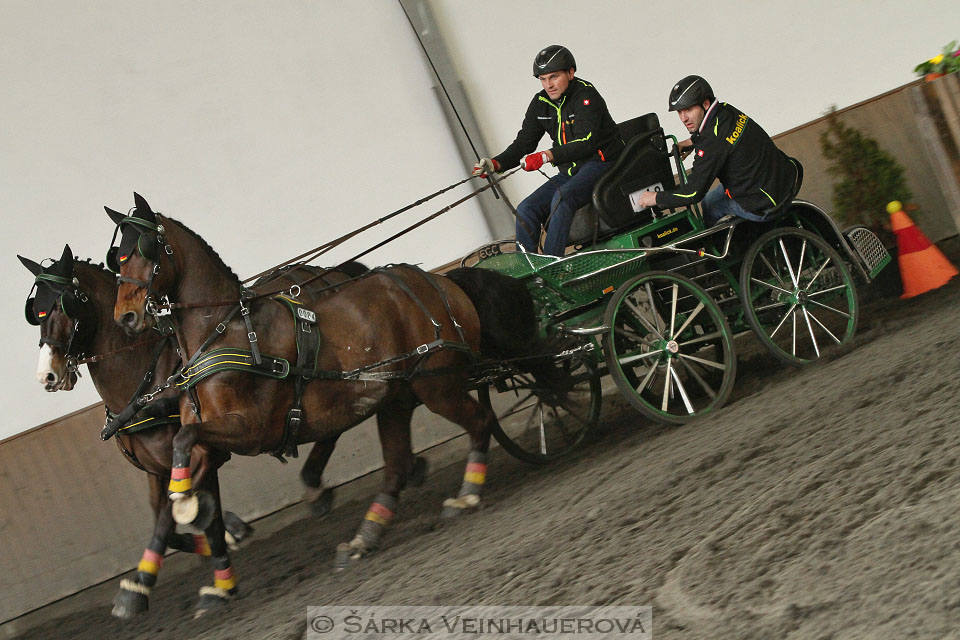 Zimní Jezdecký pohár spřežení 2016 - Hradištko