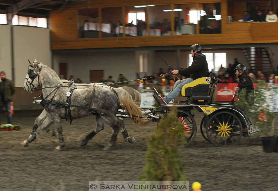 Zimní Jezdecký pohár spřežení 2016 - Hradištko