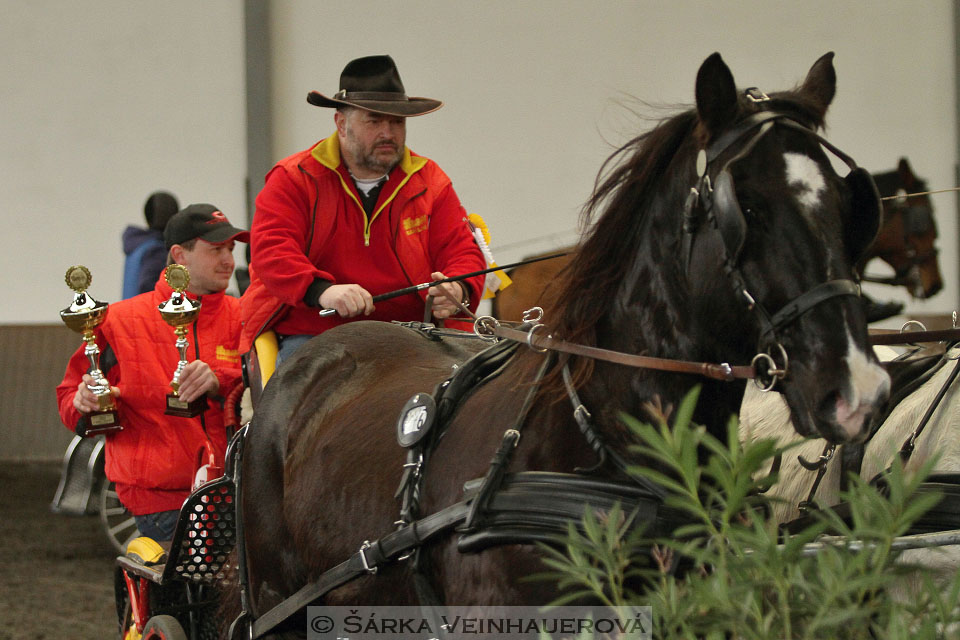 Zimní Jezdecký pohár spřežení 2016 - Hradištko