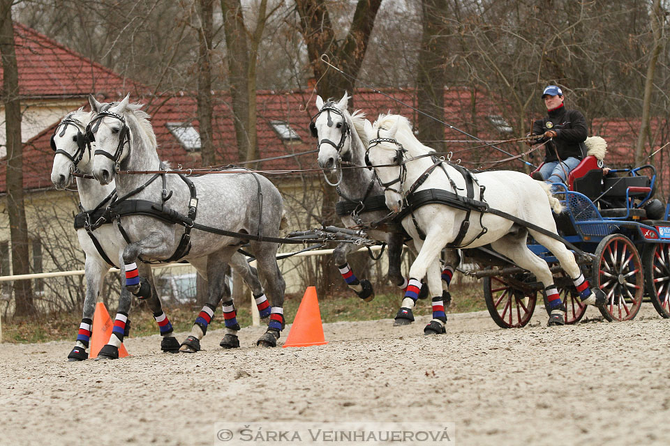 Zimní Jezdecký pohár spřežení 2016 - Hradištko