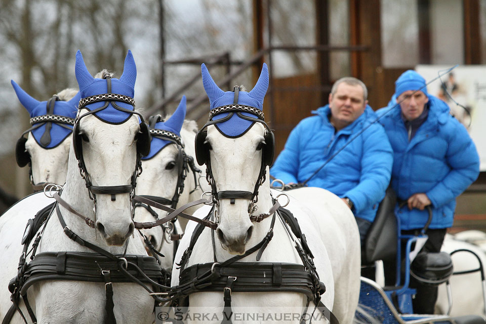 Zimní Jezdecký pohár spřežení 2016 - Hradištko