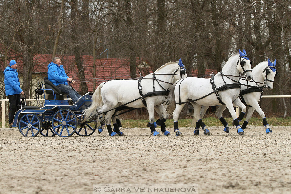 Zimní Jezdecký pohár spřežení 2016 - Hradištko