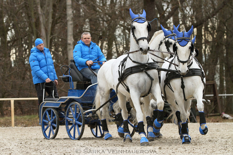 Zimní Jezdecký pohár spřežení 2016 - Hradištko