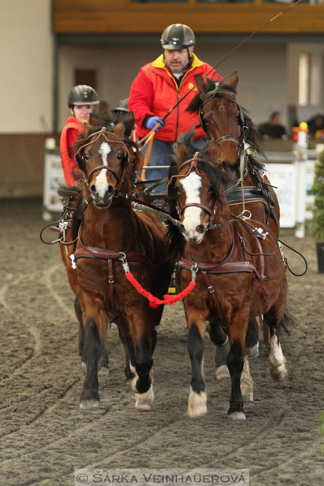 Zimní Jezdecký pohár spřežení 2016 - Hradištko