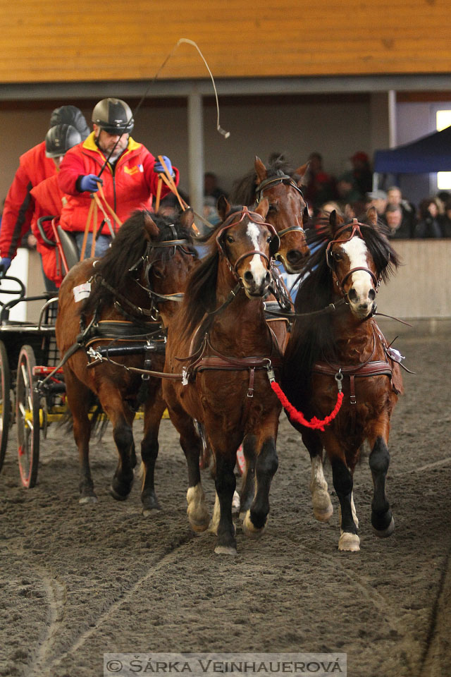 Zimní Jezdecký pohár spřežení 2016 - Hradištko