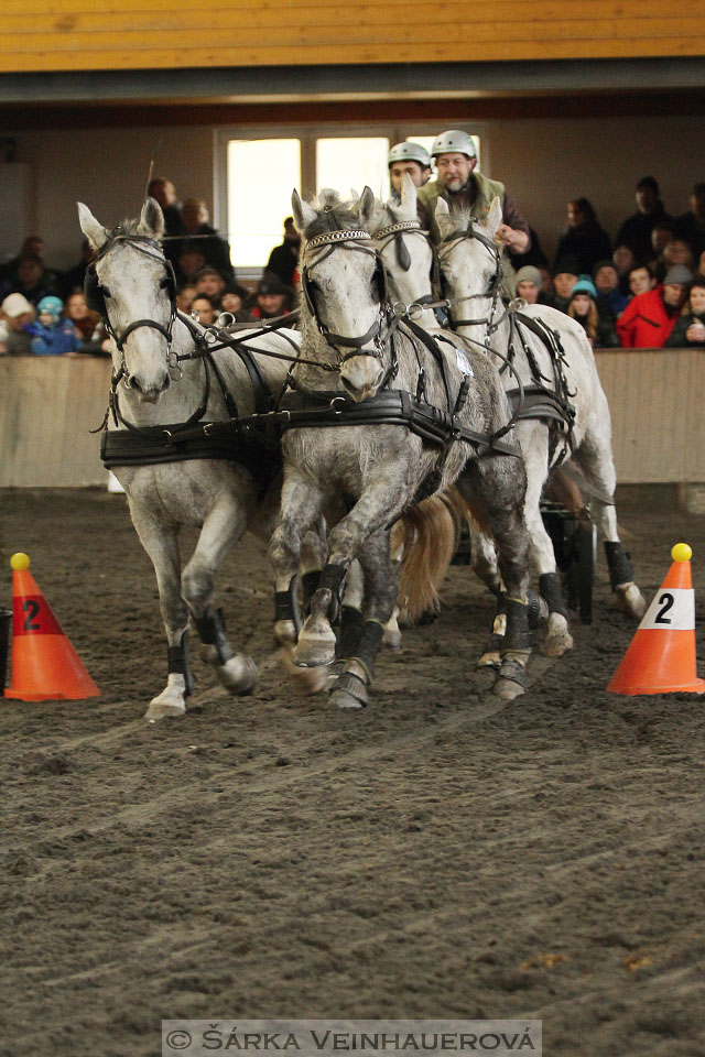 Zimní Jezdecký pohár spřežení 2016 - Hradištko