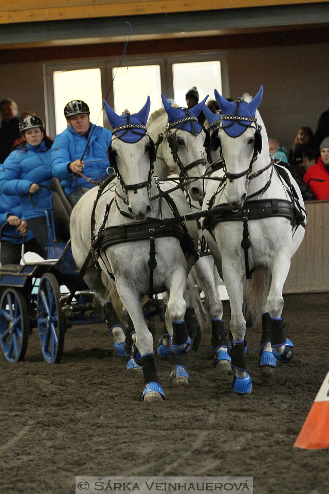 Zimní Jezdecký pohár spřežení 2016 - Hradištko