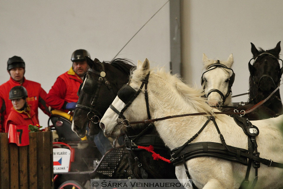 Zimní Jezdecký pohár spřežení 2016 - Hradištko