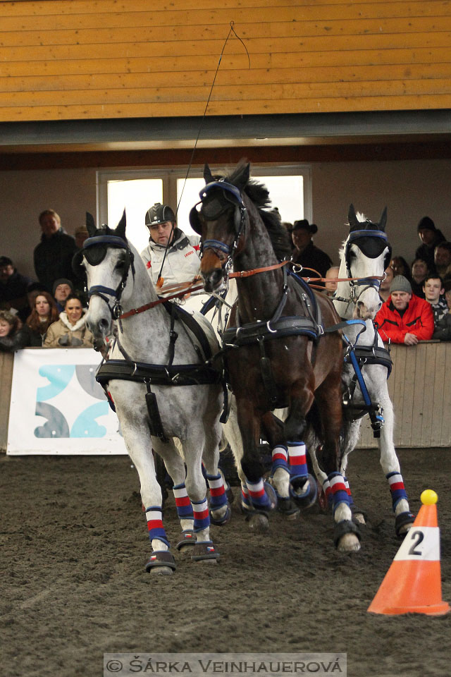 Zimní Jezdecký pohár spřežení 2016 - Hradištko