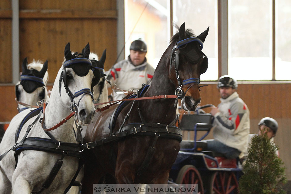 Zimní Jezdecký pohár spřežení 2016 - Hradištko