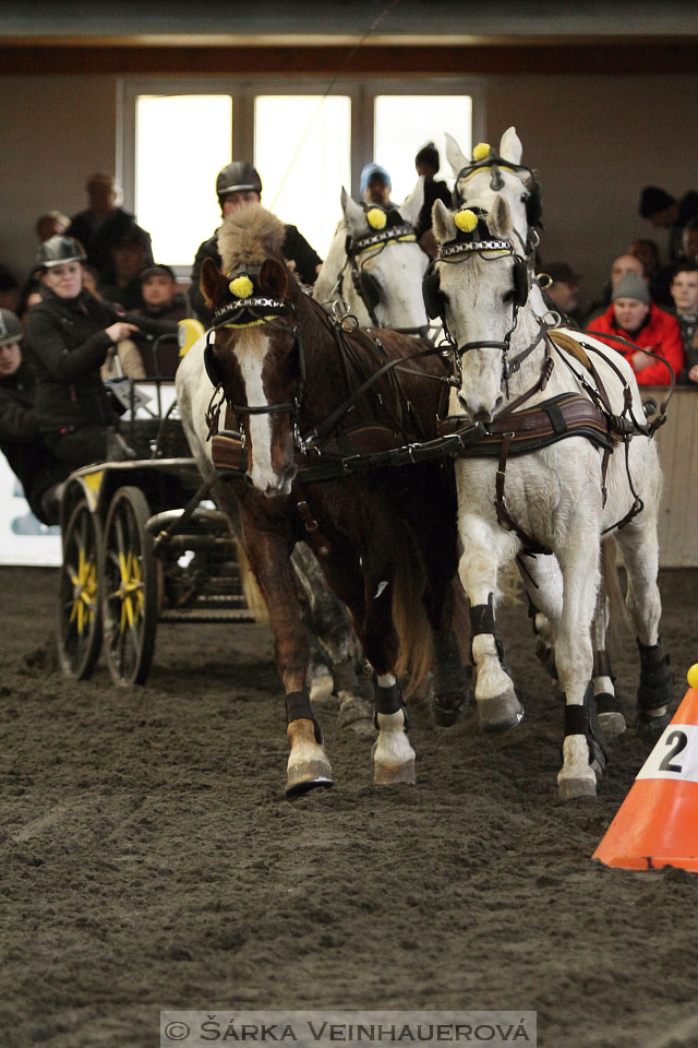 Zimní Jezdecký pohár spřežení 2016 - Hradištko