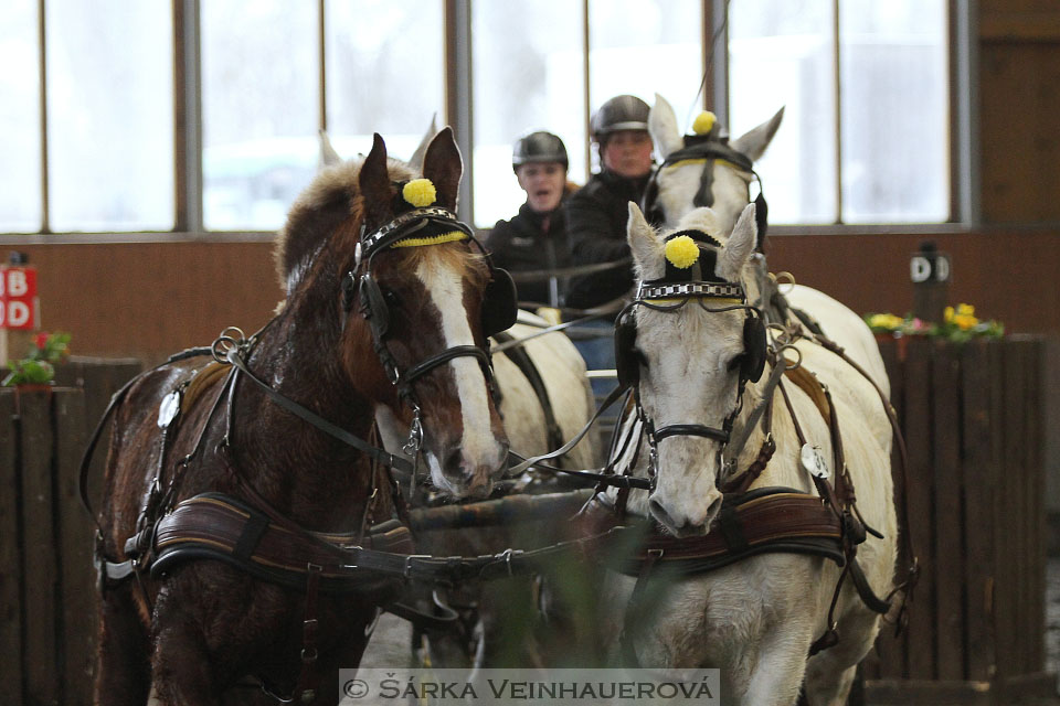 Zimní Jezdecký pohár spřežení 2016 - Hradištko