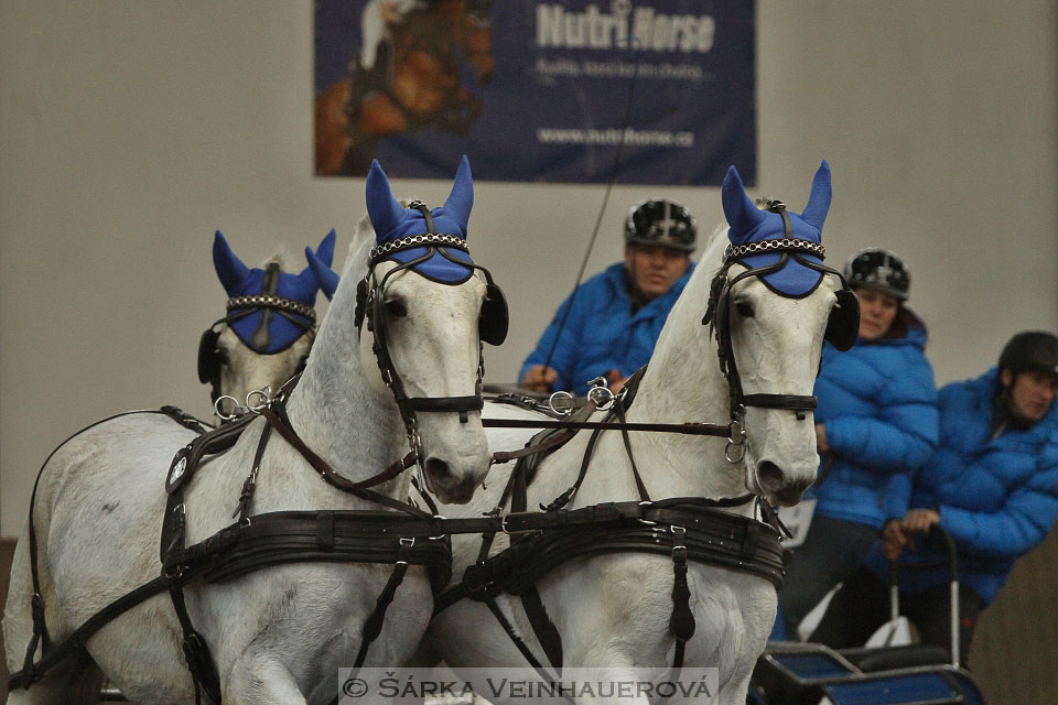 Zimní Jezdecký pohár spřežení 2016 - Hradištko