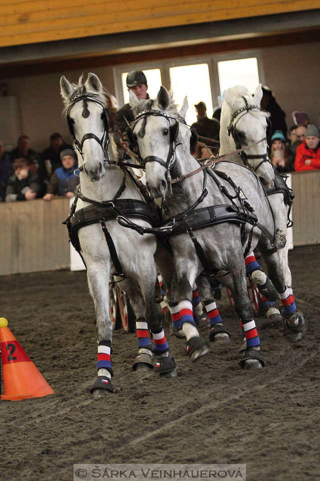 Zimní Jezdecký pohár spřežení 2016 - Hradištko