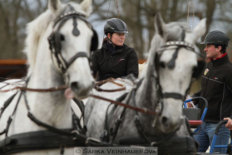 Zimní Jezdecký pohár spřežení 2016 - Hradištko