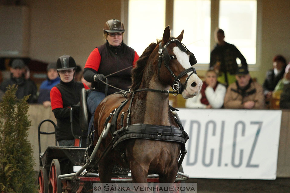 Zimní Jezdecký pohár spřežení 2016 - Hradištko