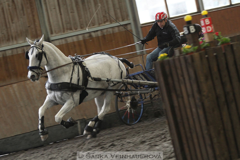 Zimní Jezdecký pohár spřežení 2016 - Hradištko